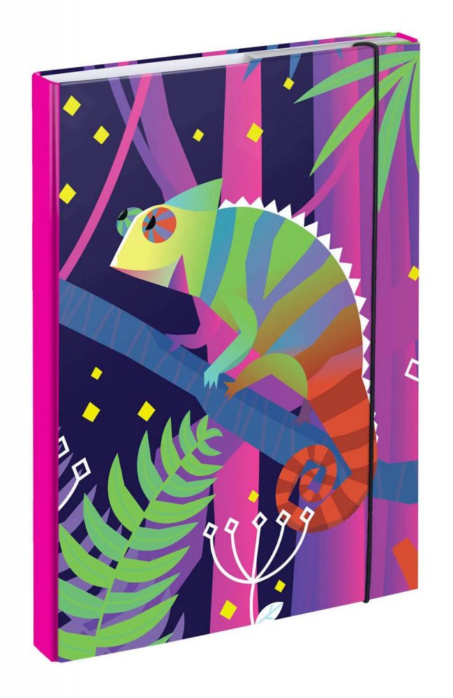 Levně Desky na školní sešity A4 Chameleon A-30421