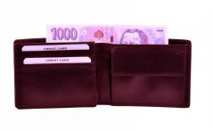 Pánská kožená peněženka 517.797.026 tmavě hnědá