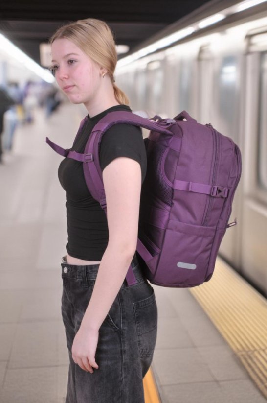 Bestway Cestovní batoh 40330-3000 fialový 30 L, 49 × 35 × 15 cm
